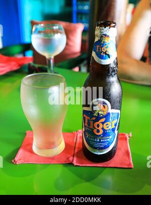 Un verre froid et une bouteille de bière Tiger, une marque de bière de Singapour produite par Heineken Asia Pacific Banque D'Images