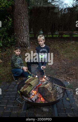 Enfants en plein air rôtisserie de guimauves au-dessus du feu de bois, Angleterre, Royaume-Uni Banque D'Images