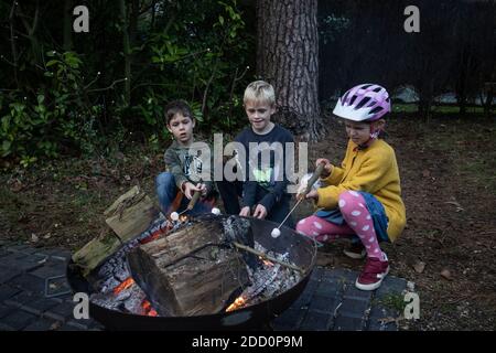 Enfants en plein air rôtisserie de guimauves au-dessus du feu de bois, Angleterre, Royaume-Uni Banque D'Images