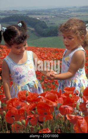 Deux petites filles explorant des fleurs de pavot dans le champ, Brading, île de Wight, Angleterre Banque D'Images