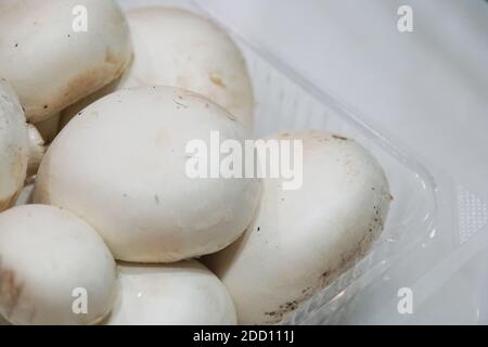 Gros plan du capuchon des champignons blancs, dans un plateau en plastique Banque D'Images