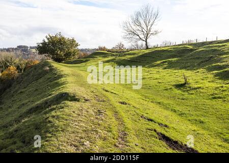 Quelques-uns des remparts de l'âge de fer d'Uley Bury une grande colline multivalée sur un éperon de l'escarpement du Cotswold à Uley, Gloucestershire Royaume-Uni Banque D'Images