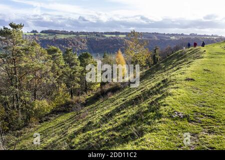 Quelques-uns des remparts de l'âge de fer d'Uley Bury une grande colline multivalée sur un éperon de l'escarpement du Cotswold à Uley, Gloucestershire Royaume-Uni Banque D'Images