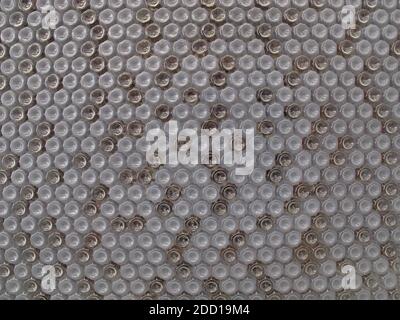 Vue détaillée du mur d'un bâtiment écologique, construit à partir de bouteilles en plastique recyclées Taipei, Taïwan Avril 2013 Banque D'Images