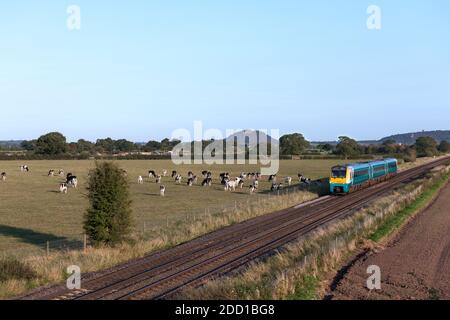 Transport pour le pays de Galles Alstom Coradia train diesel classe 175 175103 En traversant la campagne du Cheshire à Hargrave Banque D'Images