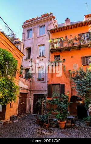 Arco degli Acetari - petit coin pittoresque avec maisons et plantes traditionnelles - Rome, Italie Banque D'Images