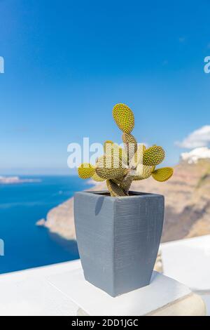 Photographie de rue à Fira Streets à Santorini. Terrasse avec vue sur la mer Banque D'Images