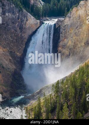 Proche des chutes d'eau de Yellowstone, parc national de Yellowstone, Mo, États-Unis Banque D'Images