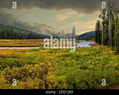 Belle rivière serpent à l'aube, parc national de Yellowstone, États-Unis Banque D'Images