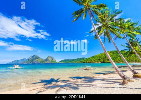 Plage de sable blanc, cocotiers et eau turquoise dans la province d'El Nido, île de Palawan aux Philippines Banque D'Images