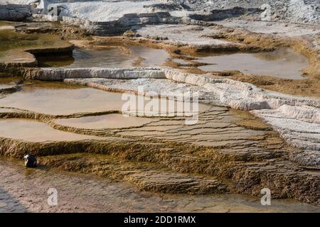 Terrasses en travertin à Mound Terrace, Lower Terraces, Mammoth Hot Springs, parc national de Yellowstone, Wyoming, États-Unis. Banque D'Images