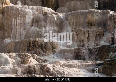 Terrasses en travertin à Mound Terrace, Lower Terraces, Mammoth Hot Springs, parc national de Yellowstone, Wyoming, États-Unis. Banque D'Images