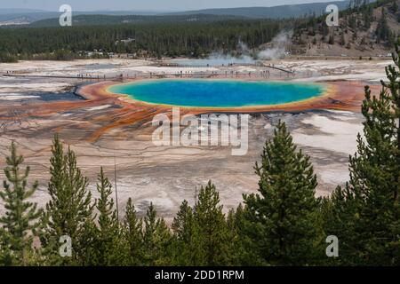 Le Grand Prismatic Spring et Excelsior Geyser dans le bassin du Geyser Midway dans le parc national de Yellowstone, Wyoming, Etats-Unis. Banque D'Images