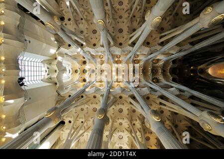 Colonnes et plafond de la nef centrale de la Sagrada Família, Barcelone, Catalogne, Espagne Banque D'Images