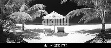 Bannière panoramique de plage en noir et blanc. Paysage tropical avec chaises et parasol sous les feuilles de palmier, vue sur la mer. Des vacances spectaculaires en monochrome Banque D'Images