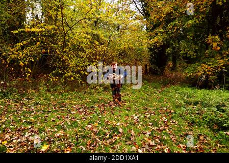 Homme à barbe de gingembre sautant dans les airs avec joie, jetant des feuilles d'automne dans la campagne, portant un manteau et un foulard de Barbour. Banque D'Images