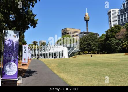 Le Calyx dans le jardin botanique royal avec le quartier des affaires de Sydney comme toile de fond lors d'une journée ensoleillée en été. Sydney, Nouvelle-Galles du Sud, Australie. Banque D'Images