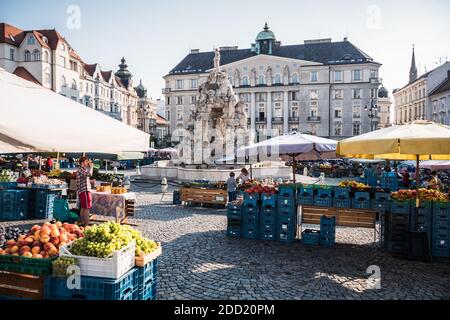 Brno, Moravie, République Tchèque - septembre 12 2020: Marché agricole sur le marché des choux de Zelny TRH dans la matinée. Banque D'Images