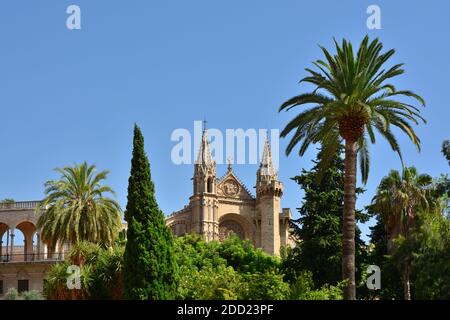 Plaça de la Reina, fundacion Bartolome March et façade avant de la cathédrale Santa Maria de Palma, la Seu, Palma, Majorque, Espagne Banque D'Images