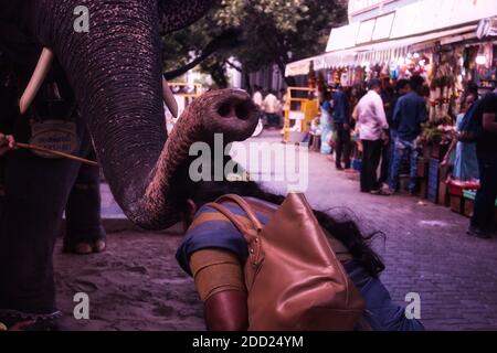 Pondichéry, Inde - 30 octobre 2018 : un éléphant semble être la bénédiction d'une femme en utilisant son tronc devant le temple de ganesha Banque D'Images