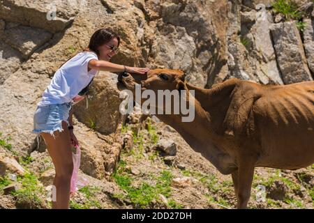 Femme de tourisme qui se fait des pétades et qui se nourrit de la vache sur la route les montagnes Banque D'Images