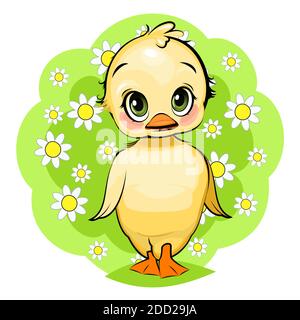 fille de canard. Poussin drôle. Joli et drôle oiseau de bébé. L'objet isolé sur un fond blanc. Illustration. Style de dessin animé. Vecteur Illustration de Vecteur