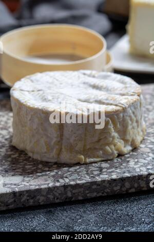 Collection de fromages, Camembert doux français de Normandie, à base de lait de vache dans la région Normandie, France gros plan Banque D'Images