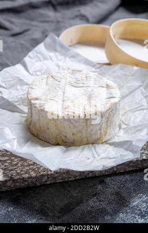 Collection de fromages, Camembert doux français de Normandie, à base de lait de vache dans la région Normandie, France gros plan Banque D'Images