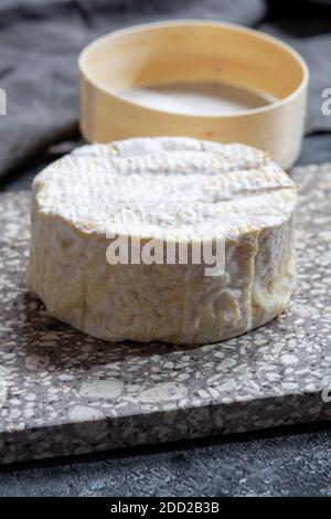 Collection de fromages, Camembert doux français de Normandie, à base de lait de vache dans la région Normandie, France gros plan Banque D'Images