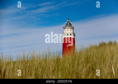 Le phare rouge et blanc de l'Eierland sur l'île hollandaise de Texel, sous ciel bleu et clair et nuageux avec pelouse verte de plage en premier plan. Banque D'Images