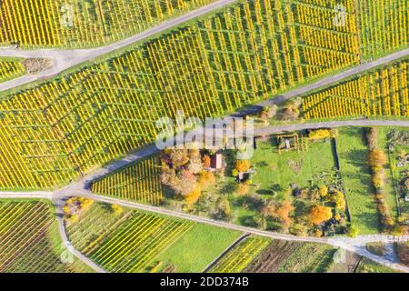 Vignobles vin automne saison automne nature photo aérienne dans Allemagne Banque D'Images