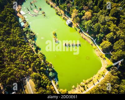 Vue aérienne sur le lac vert avec nature verte dans le parc dendrologique. Géorgie Banque D'Images