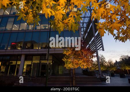 Arbres d'automne à l'extérieur de Loxley House sur Station Street dans le centre-ville de Nottingham, dans le Nottinghamshire Angleterre Banque D'Images