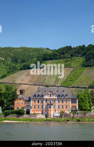 Géographie / Voyage, Allemagne, Rhénanie-Palatinat, Leutesdorf, Château de Marienburg, Leutesdorf au Rhin, droits-supplémentaires-autorisation-Info-non-disponible Banque D'Images