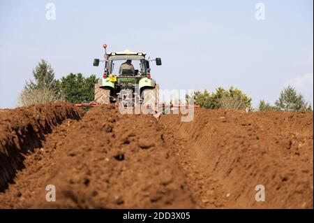 Irvillac (Bretagne, Nord-Ouest de la France): Production de graines de pomme de terre, préparation du sol. Banque D'Images