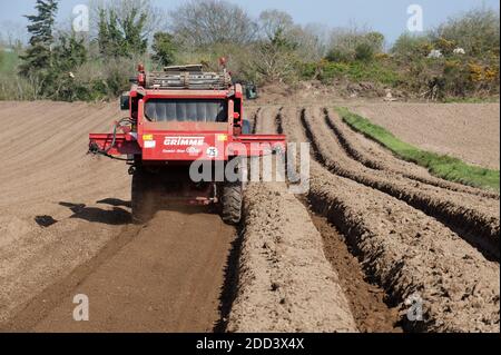 Irvillac (Bretagne, Nord-Ouest de la France): Production de graines de pomme de terre, préparation du sol avec une tamiseuse Combi-Star CS150 Banque D'Images