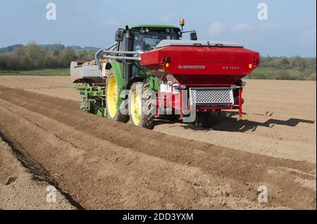 Irvillac (Bretagne, Nord-Ouest de la France): Production de graines de pomme de terre. Tracteur avec épandeur à buckSpreader Banque D'Images