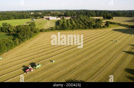 Fabrication de foin : herbe coupée collectée. Tracteur et presse à foin dans un champ, ferme à Guipel (Bretagne, nord-ouest de la France) Banque D'Images