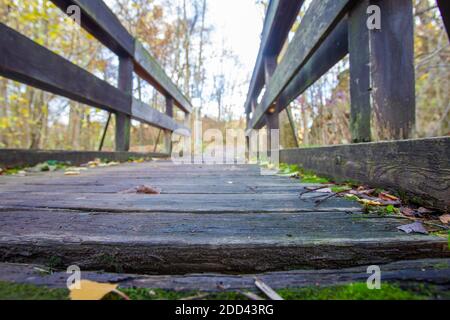 Helbigsdorf, Allemagne. 23 novembre 2020. Au milieu de la forêt, près de Helbigsdorf, dans le district de la Suisse saxonne-Ore orientale, un pont vélo et piéton est caché dans la forêt. Ce pont a été utilisé par de nombreuses personnes pendant des années pour atteindre le village voisin en vélo ou à pied, même s'il a maintenant quelques défauts structurels en raison de son utilisation et des influences environnementales. Credit: Daniel Schäfer/dpa-Zentralbild/ZB/dpa/Alay Live News Banque D'Images