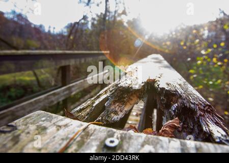 Helbigsdorf, Allemagne. 23 novembre 2020. Au milieu de la forêt, près de Helbigsdorf, dans le district de la Suisse saxonne-Ore orientale, un pont vélo et piéton est caché dans la forêt. Ce pont a été utilisé par de nombreuses personnes pendant des années pour atteindre le village voisin en vélo ou à pied, même s'il a maintenant quelques défauts structurels en raison de son utilisation et des influences environnementales. Credit: Daniel Schäfer/dpa-Zentralbild/ZB/dpa/Alay Live News Banque D'Images