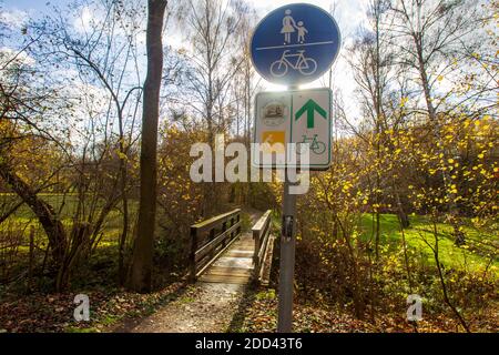Helbigsdorf, Allemagne. 23 novembre 2020. Au milieu de la forêt, près de Helbigsdorf, dans le district de la Suisse saxonne-Ore orientale, un pont vélo et piéton est caché dans la forêt. Ce pont a été utilisé par de nombreuses personnes pendant des années pour atteindre le village voisin en vélo ou à pied, même s'il a quelques défauts structurels en raison de son utilisation et des influences environnementales. Credit: Daniel Schäfer/dpa-Zentralbild/ZB/dpa/Alay Live News Banque D'Images