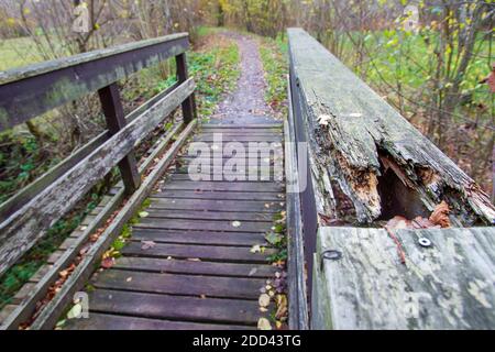 Helbigsdorf, Allemagne. 23 novembre 2020. Au milieu de la forêt, près de Helbigsdorf, dans le district de la Suisse saxonne-Ore orientale, un pont vélo et piéton est caché dans la forêt. Ce pont a été utilisé par de nombreuses personnes pendant des années pour atteindre le village voisin en vélo ou à pied, même s'il a maintenant quelques défauts structurels en raison de son utilisation et des influences environnementales. Credit: Daniel Schäfer/dpa-Zentralbild/ZB/dpa/Alay Live News Banque D'Images