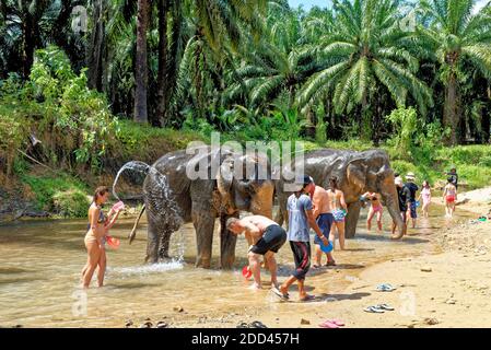 Bain avec les éléphants au sanctuaire de Krabi Elephant House Sanctuary - Thaïlande. Destination de voyage dans la région de Krabi - 27 janvier 2020 Banque D'Images