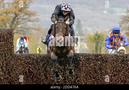 Photo du dossier datée du 12-11-2020 de la prophétie irlandaise, jupée par Ben Jones. Banque D'Images