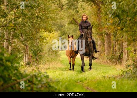 Jeune femme à cheval sans selle sur sa belle jument marron, jaune foal marche à côté d'eux, dans la forêt d'automne. Banque D'Images