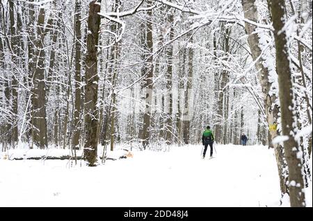 Moscou / russe - janvier 2020: Un skieur mâle est le ski et les gens marchent dans une forêt d'hiver enneigée ou un parc Banque D'Images