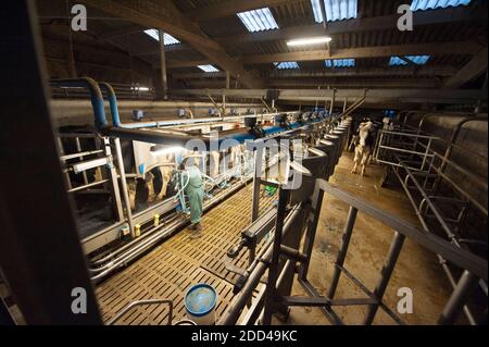 Bazouges-sous-Hède (Bretagne, nord-ouest de la France) : élevage et production laitière. Vaches et fermier dans un salon de traite. Banque D'Images