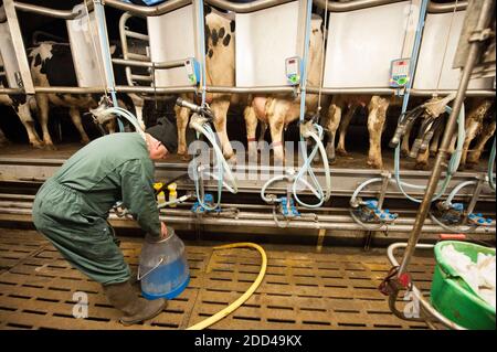 Bazouges-sous-Hède (Bretagne, nord-ouest de la France) : élevage et production laitière. Vaches et fermier dans un salon de traite. Banque D'Images