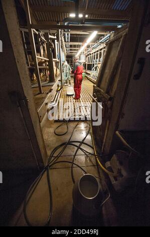 Bazouges-sous-Hède (Bretagne, nord-ouest de la France) : élevage et production laitière. Vaches et fermier dans un salon de traite. Banque D'Images