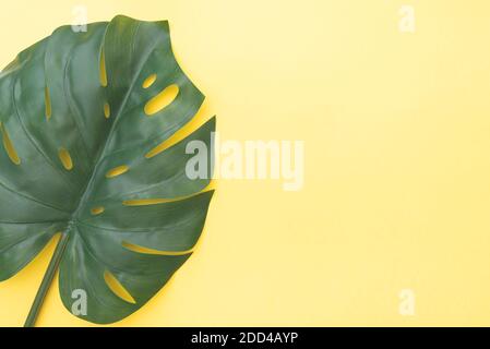 Composition florale avec feuille verte Monstera sur fond jaune, vue de dessus, disposition avec espace pour le texte Banque D'Images